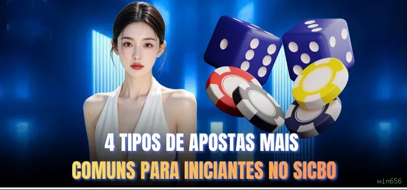 Controles de paJogonto e BRL em win656